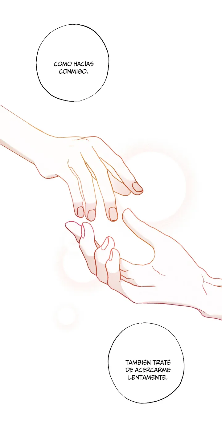 55 Falle En Divorciarme de Mi Esposo