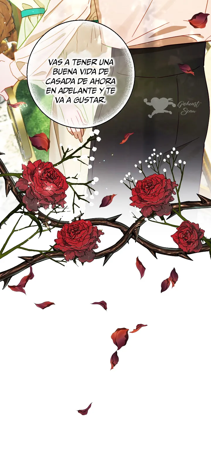 11 Falle En Divorciarme de Mi Esposo