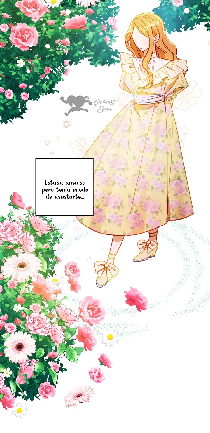 54 Falle En Divorciarme de Mi Esposo