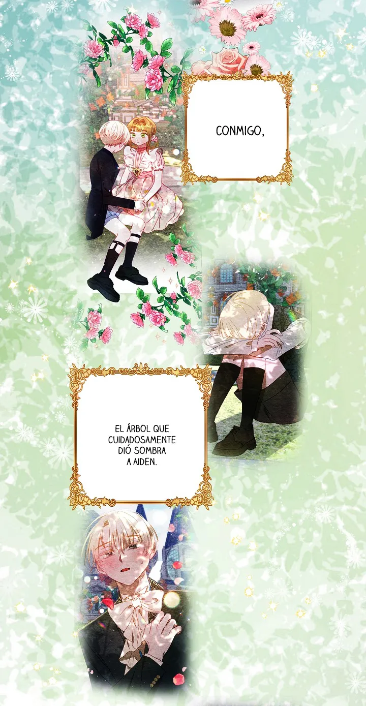 43 Falle En Divorciarme de Mi Esposo