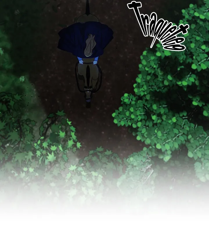 15 Falle En Divorciarme de Mi Esposo