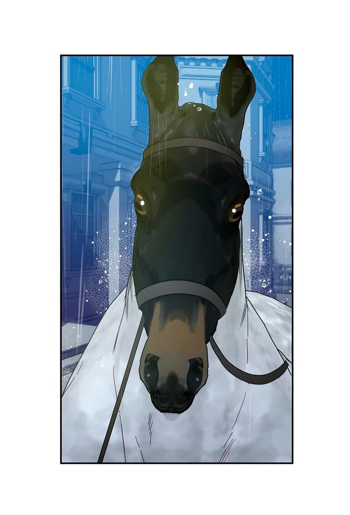 41 Falle En Divorciarme de Mi Esposo