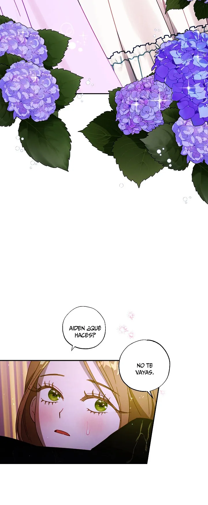 13 Falle En Divorciarme de Mi Esposo