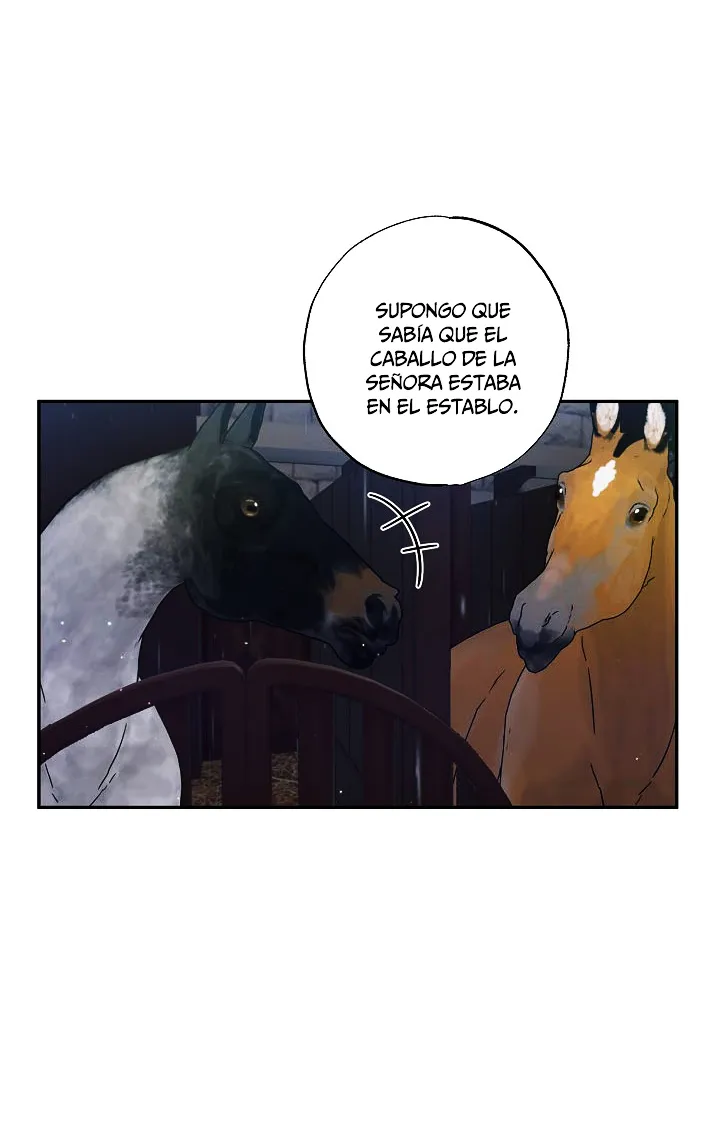 42 Falle En Divorciarme de Mi Esposo