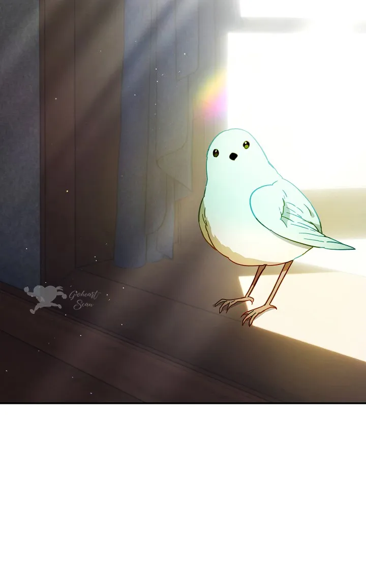 19 Falle En Divorciarme de Mi Esposo