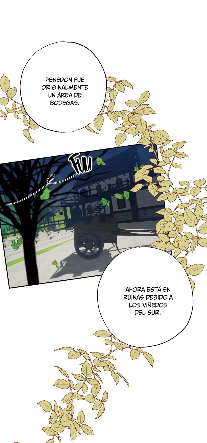 61 Falle En Divorciarme de Mi Esposo