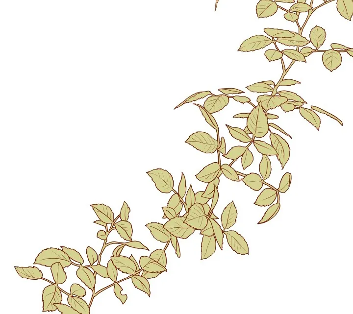 64 Falle En Divorciarme de Mi Esposo