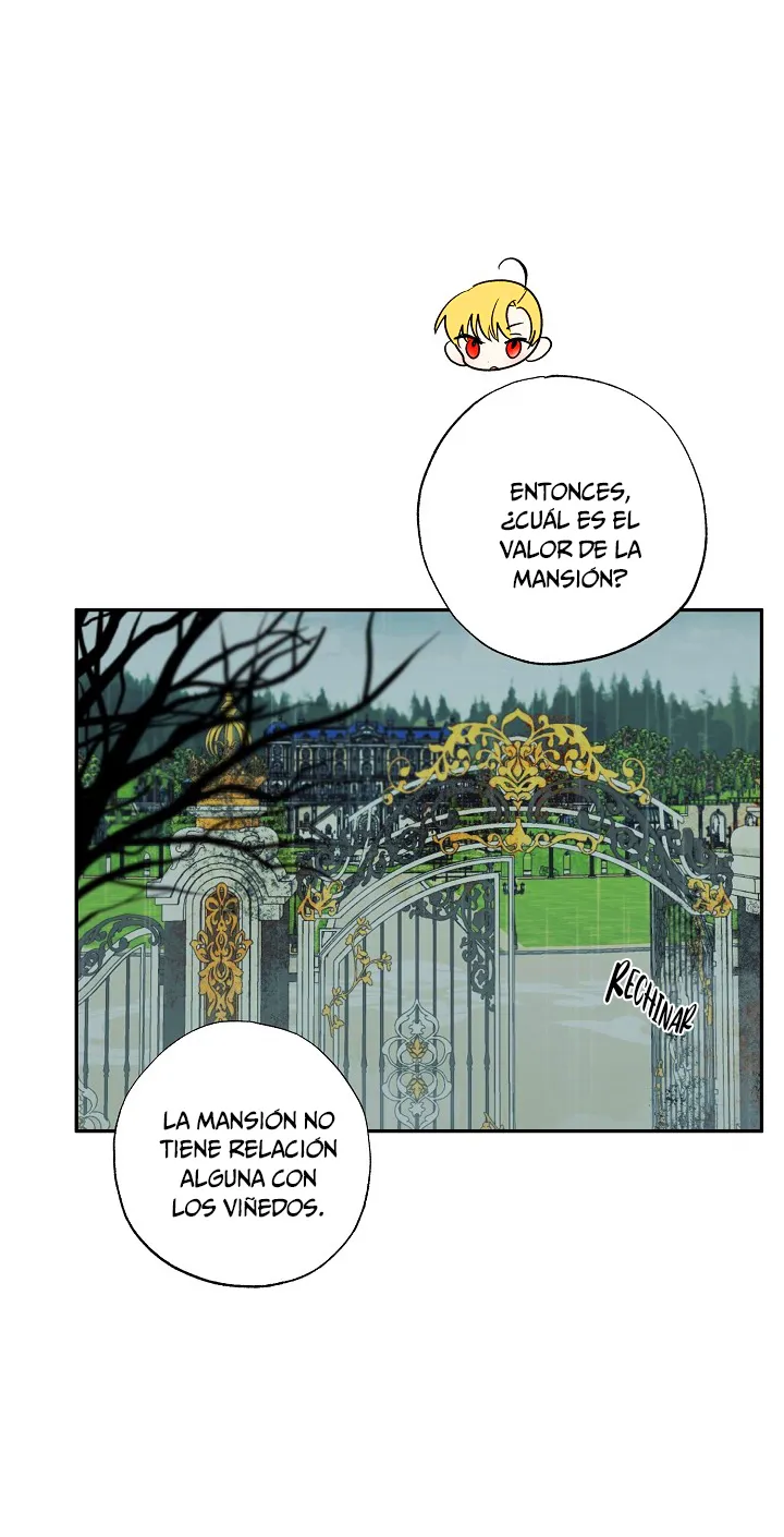 67 Falle En Divorciarme de Mi Esposo