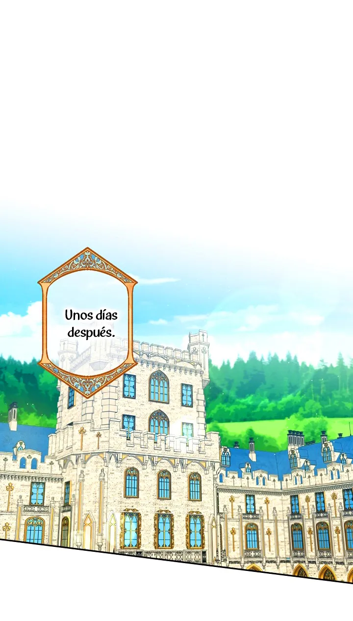 24 Falle En Divorciarme de Mi Esposo