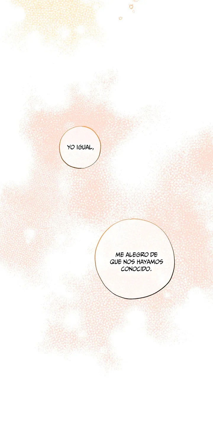 56 Falle En Divorciarme de Mi Esposo