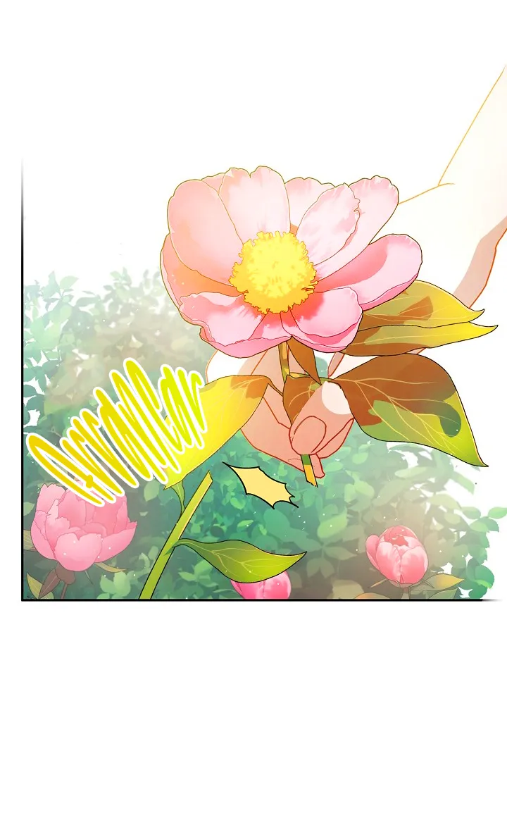 36 Falle En Divorciarme de Mi Esposo