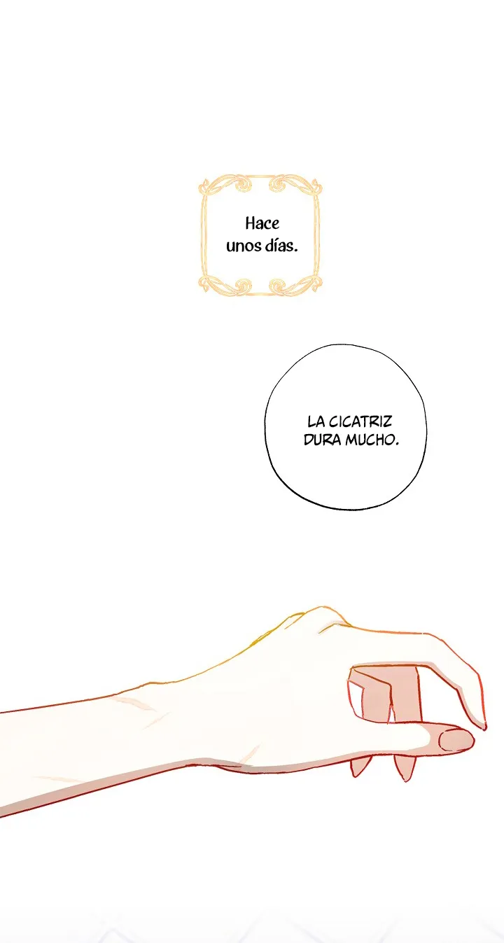 28 Falle En Divorciarme de Mi Esposo