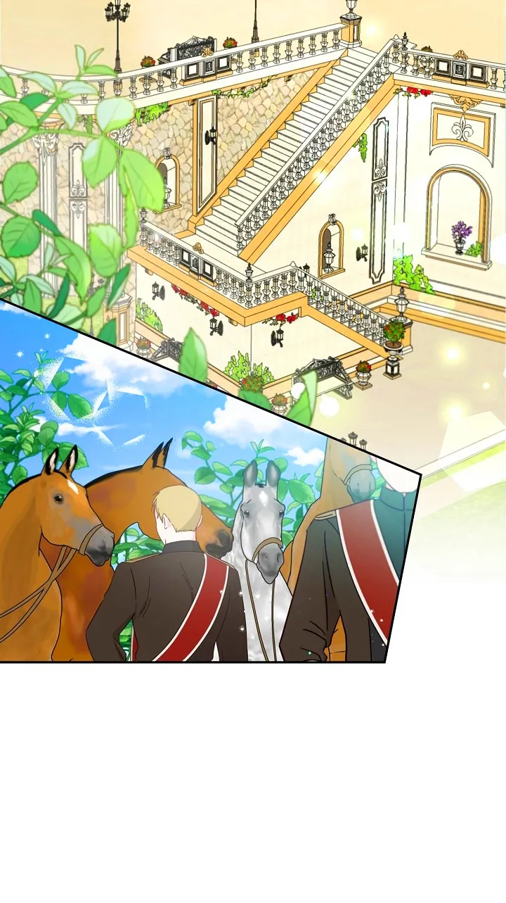 9 Falle En Divorciarme de Mi Esposo