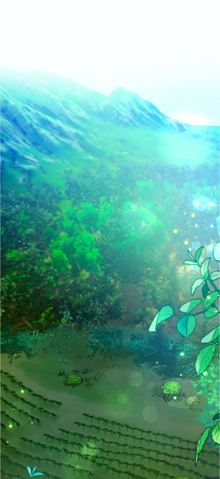 31 Falle En Divorciarme de Mi Esposo