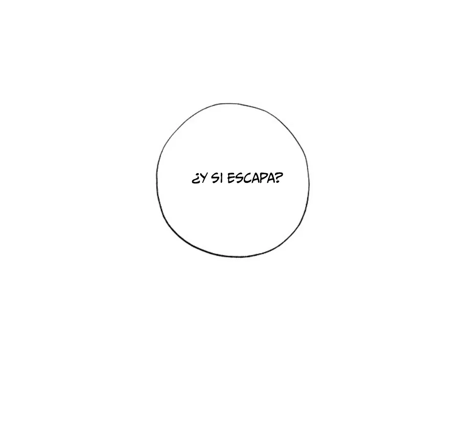 26 Falle En Divorciarme de Mi Esposo