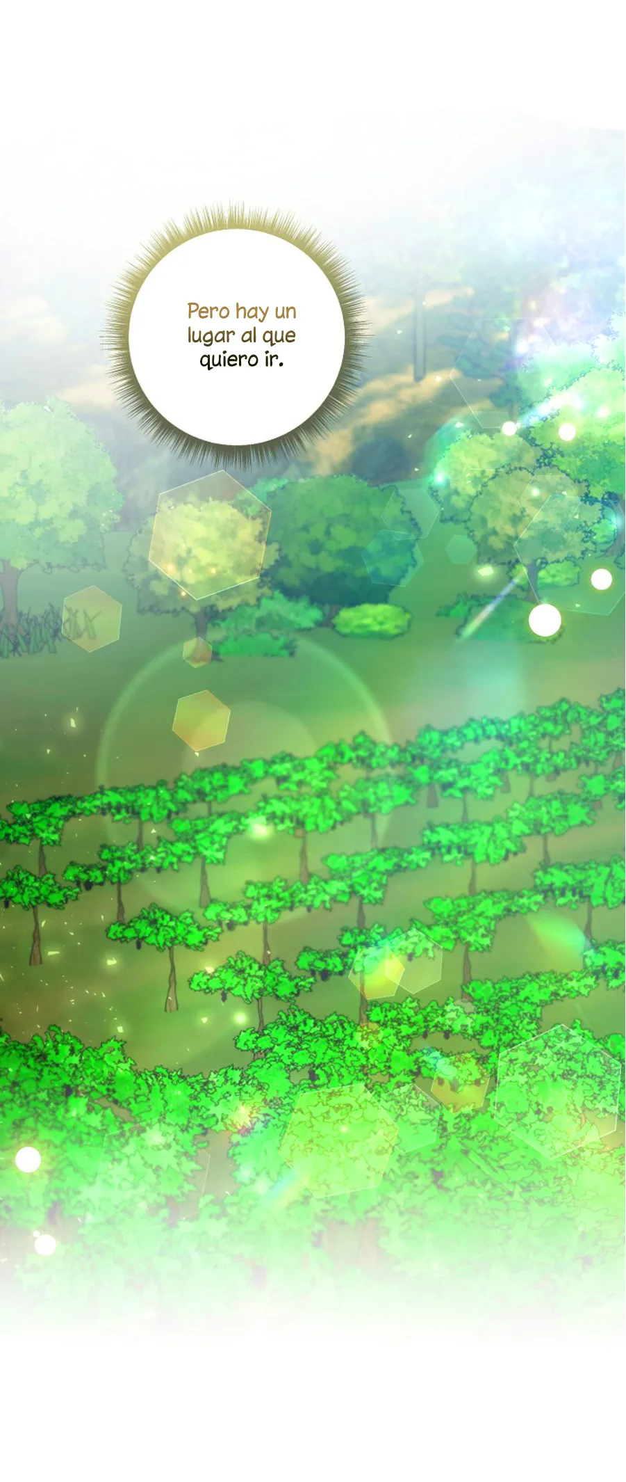 58 Falle En Divorciarme de Mi Esposo