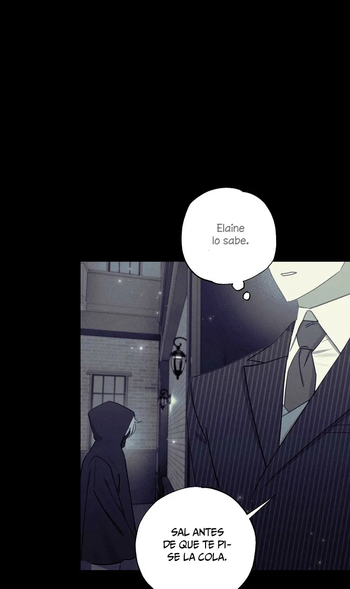 30 Falle En Divorciarme de Mi Esposo