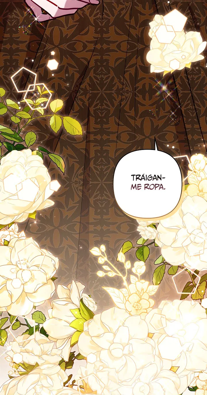 80 Falle En Divorciarme de Mi Esposo