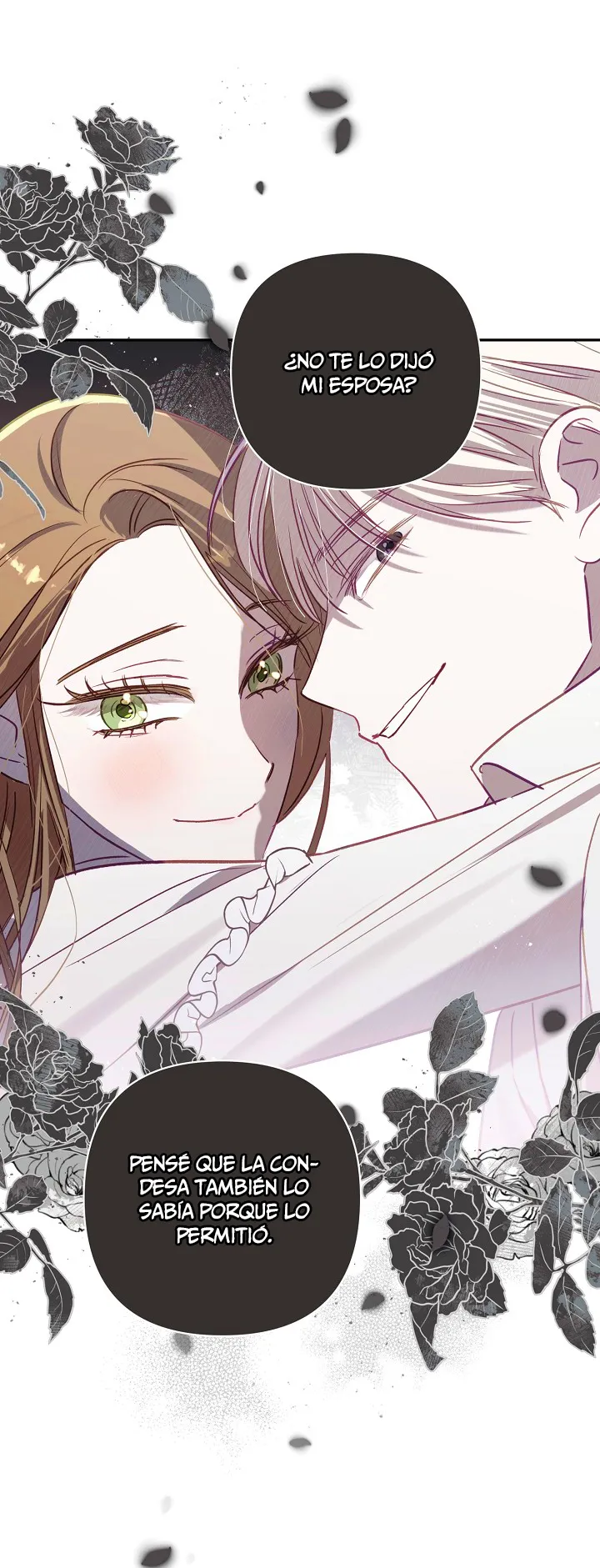 19 Falle En Divorciarme de Mi Esposo