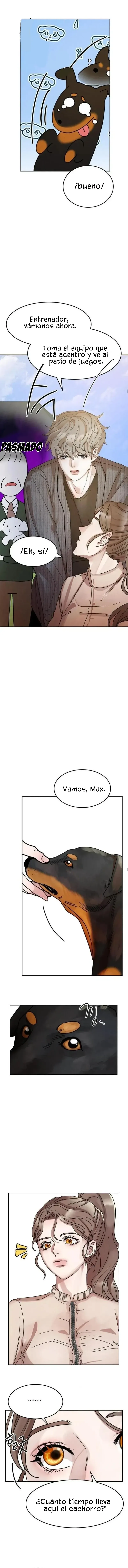 8 Ayudame, hada taoísta