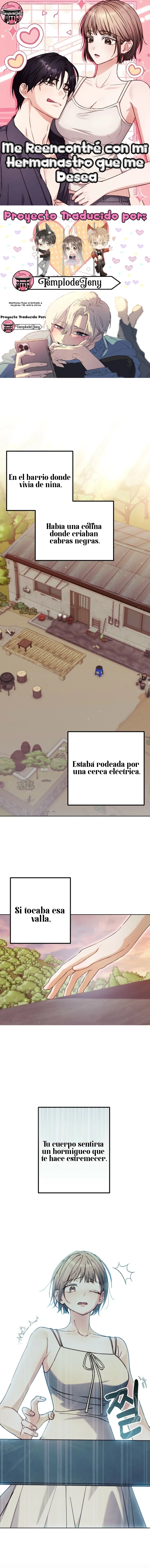 0 Me reencontré con mi hermanastro que me desea