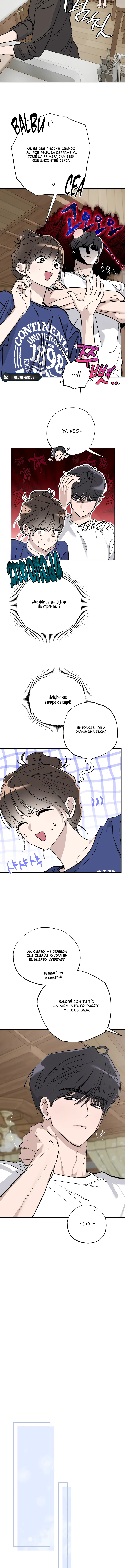 4 Secretos del Huerto