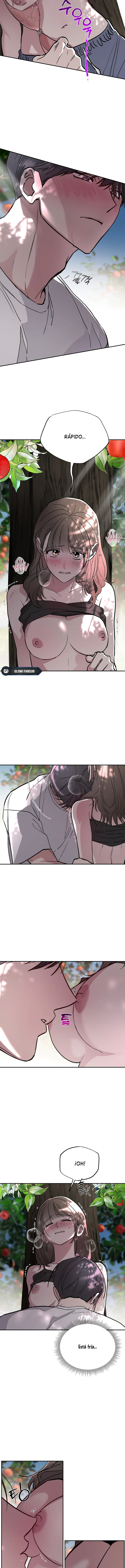 8 Secretos del Huerto