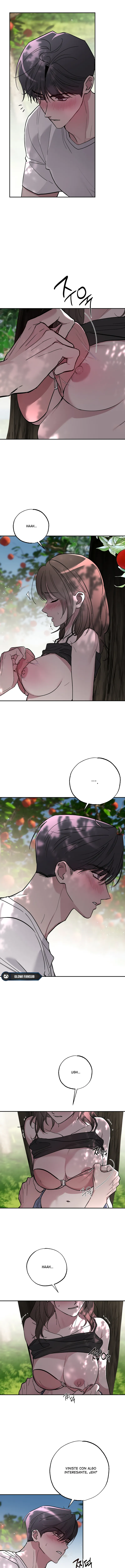 6 Secretos del Huerto