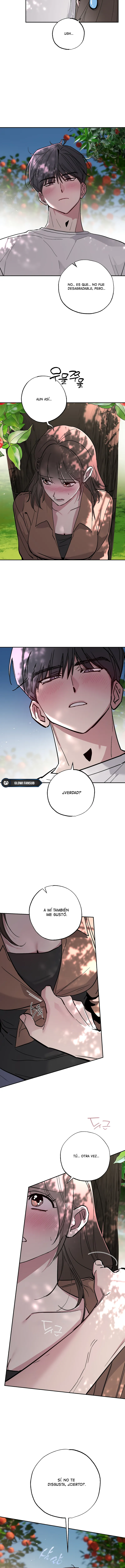 4 Secretos del Huerto