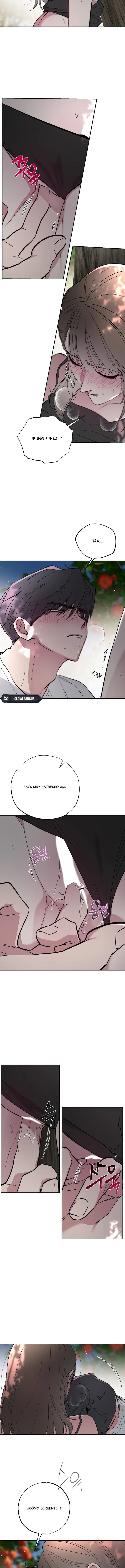 8 Secretos del Huerto