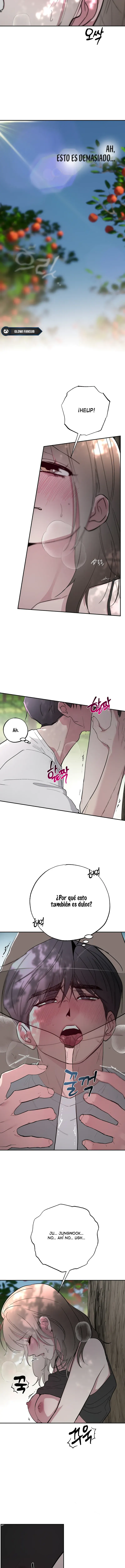 5 Secretos del Huerto