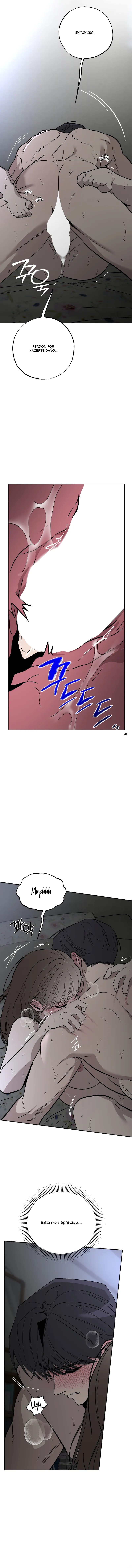 7 Secretos del Huerto