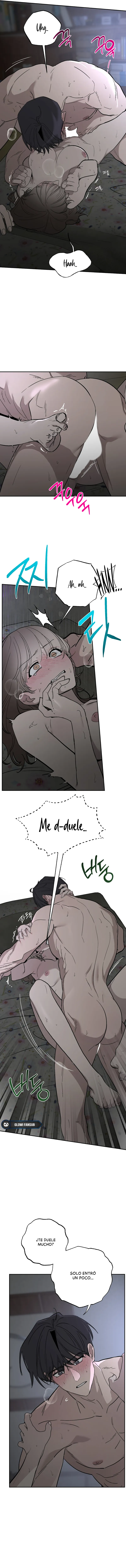 5 Secretos del Huerto