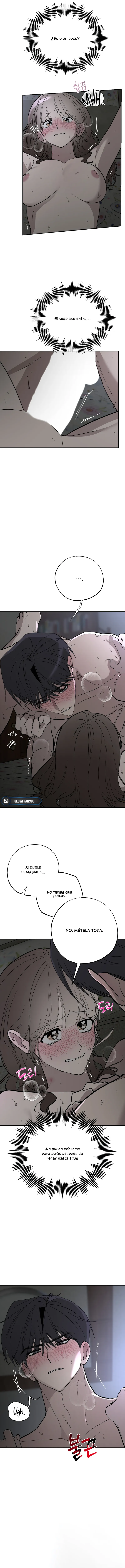 6 Secretos del Huerto