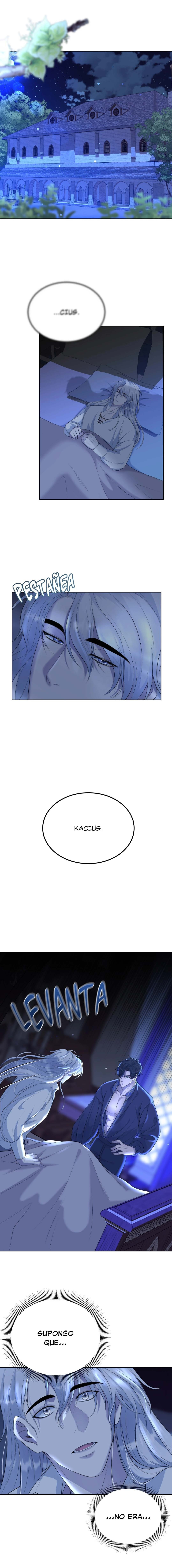 6 Escarcha de cristal