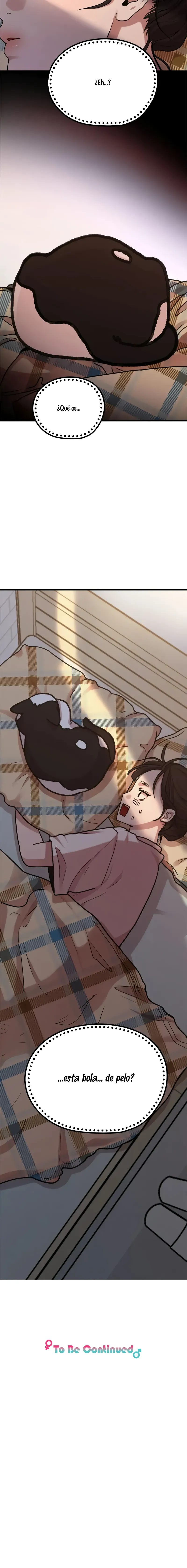 14 La sagrada vida de un artista de webcómics