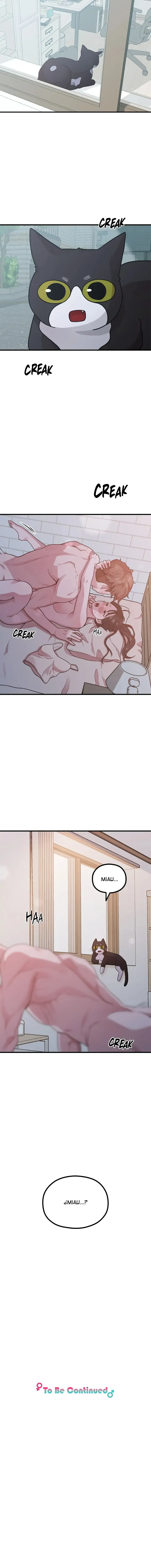 12 La sagrada vida de un artista de webcómics