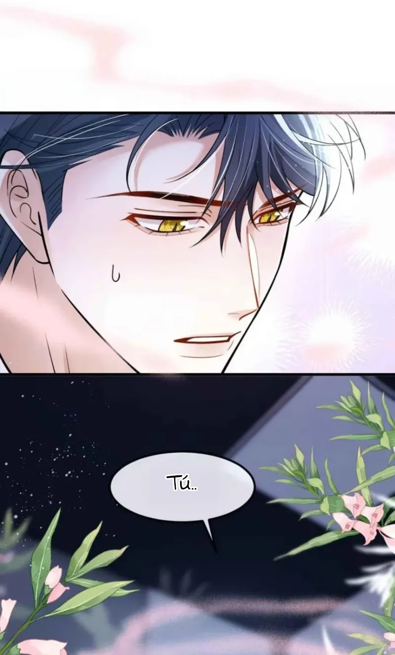 38 He puesto los huevos de serpiente de mi enemigo