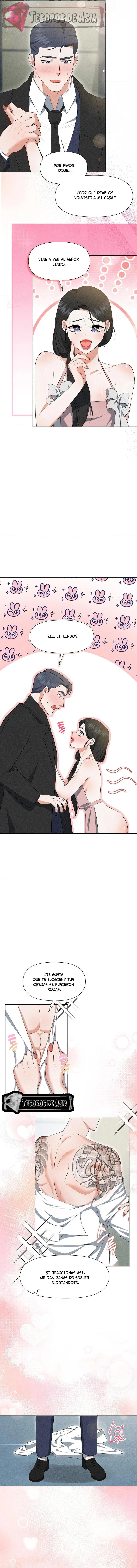 12 Me Equivoqué de Novio