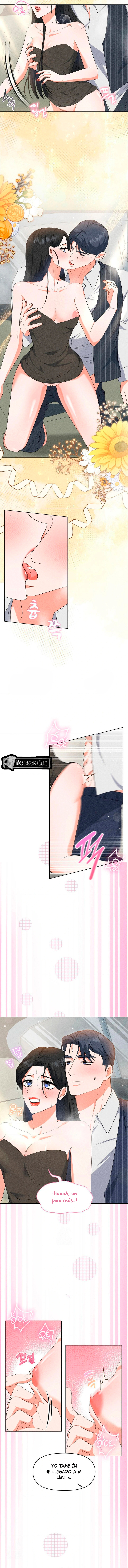 7 Me Equivoqué de Novio