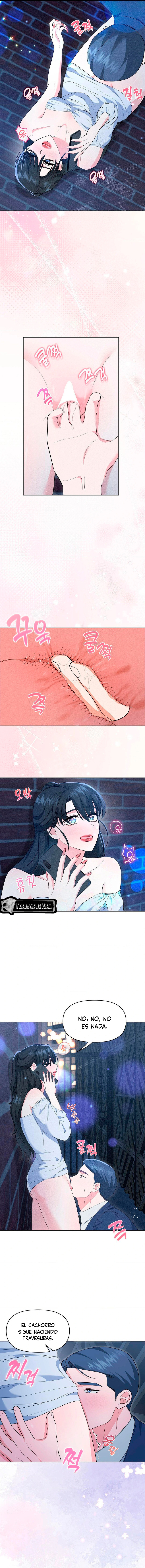 7 Me Equivoqué de Novio