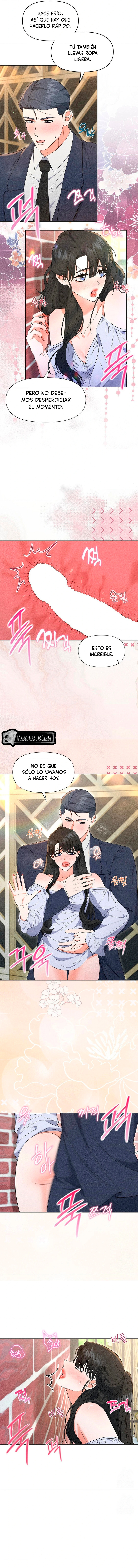 3 Me Equivoqué de Novio