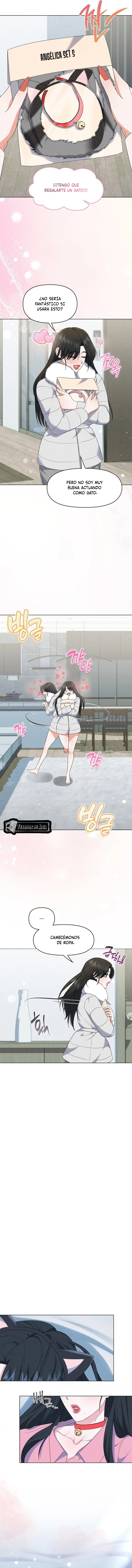 2 Me Equivoqué de Novio