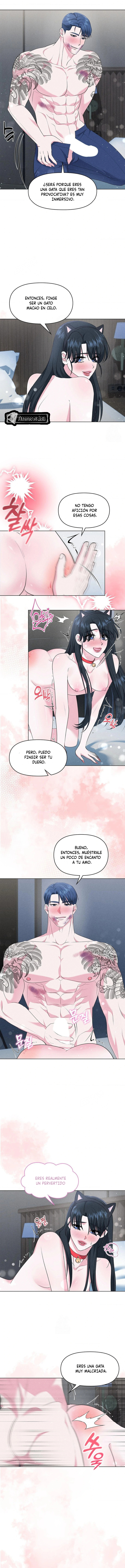 10 Me Equivoqué de Novio