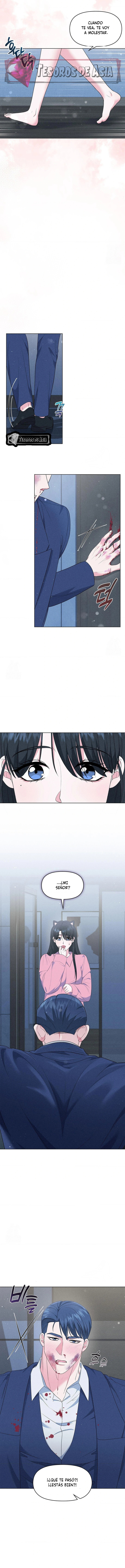 4 Me Equivoqué de Novio