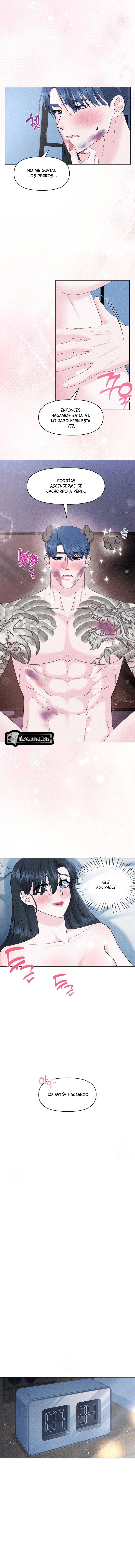 6 Me Equivoqué de Novio