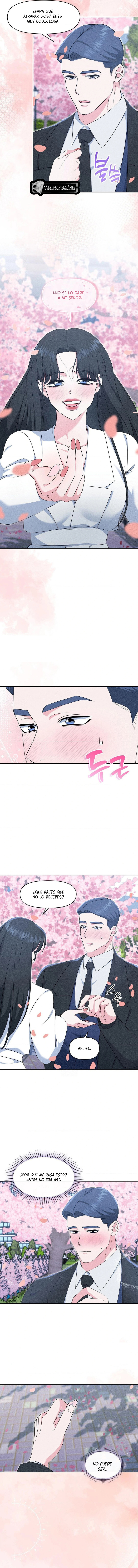 5 Me Equivoqué de Novio