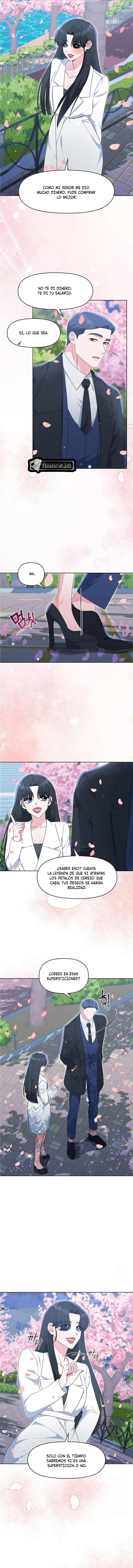 3 Me Equivoqué de Novio