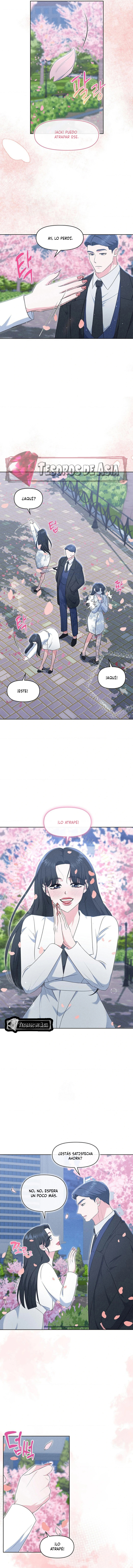 4 Me Equivoqué de Novio