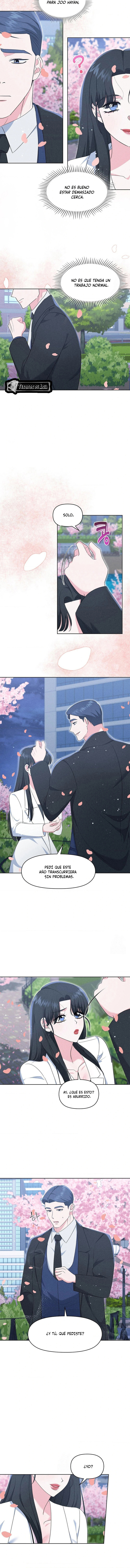 7 Me Equivoqué de Novio